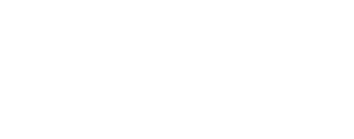Investor 4