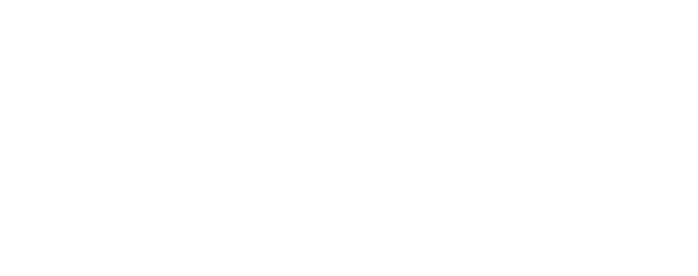 Investor 3