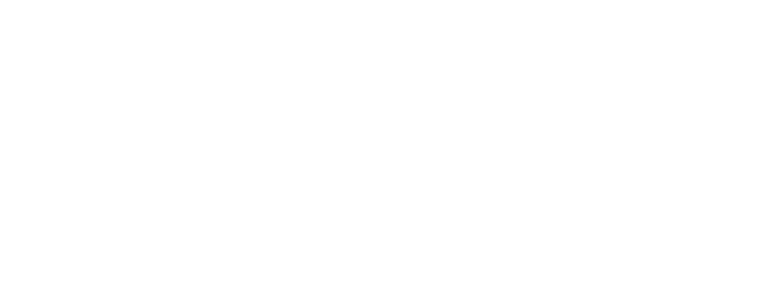 Investor 1