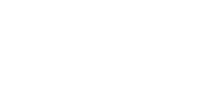 Investor 6