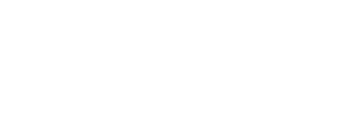Investor 8